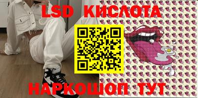 индика Кандалакша