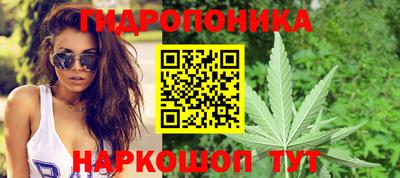 ПСИЛОЦИБИНОВЫЕ ГРИБЫ Камышлов