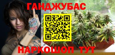 прущие крисы Кингисепп
