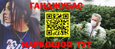 индика Кандалакша