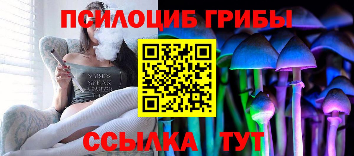 Галлюциногенные грибы Psilocybine cubensis  Вход с VPN  Красногорск  Псилоцибиновые грибы Magic Shrooms 
