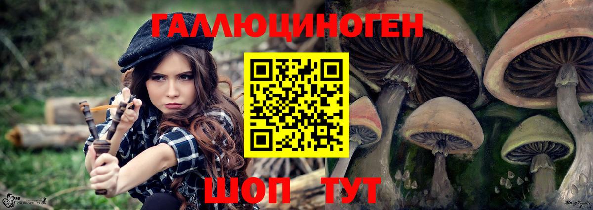 Галлюциногенные грибы MAGIC MUSHROOMS Красногорск